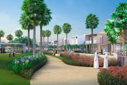 Orchid Plots